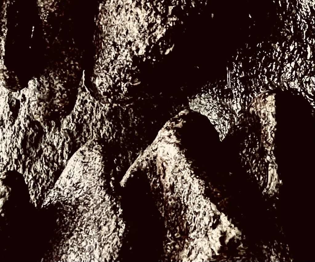 Der Sturz This Water runs East